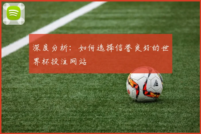 深度分析:如何选择信誉良好的世界杯投注网站