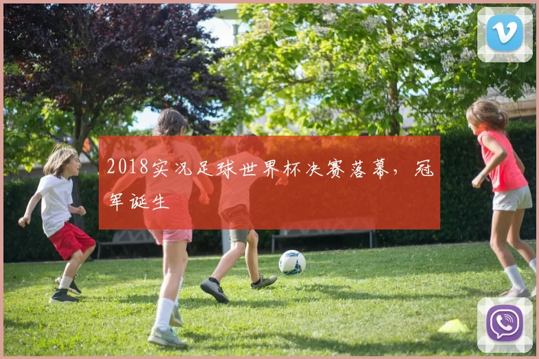2018实况足球世界杯决赛落幕，冠军诞生