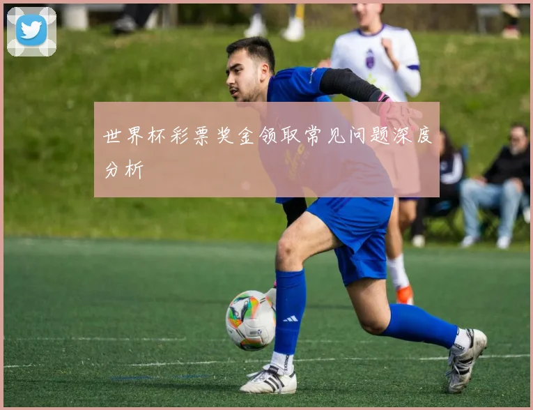 世界杯彩票奖金领取常见问题深度分析