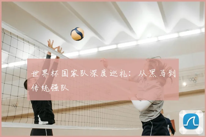 世界杯国家队深度巡礼:从黑马到传统强队