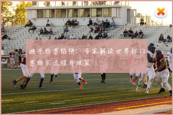 避开购票陷阱:专家解读世界杯门票购买流程与政策