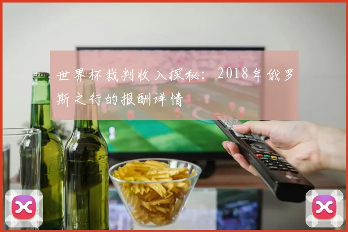 世界杯裁判收入探秘:2018年俄罗斯之行的报酬详情