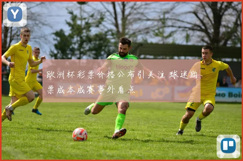 欧洲杯彩票价格公布引关注 球迷购票成本成赛事外看点