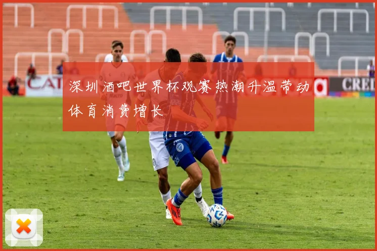深圳酒吧世界杯观赛热潮升温带动体育消费增长
