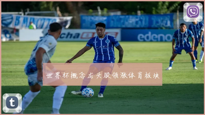 世界杯概念龙头股领涨体育板块