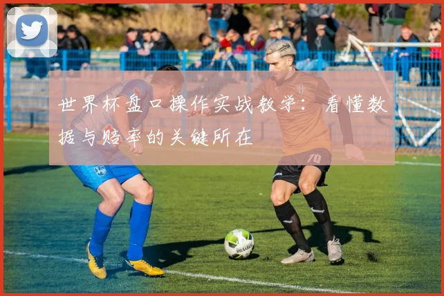 世界杯盘口操作实战教学:看懂数据与赔率的关键所在