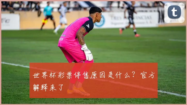 世界杯彩票停售原因是什么?官方解释来了