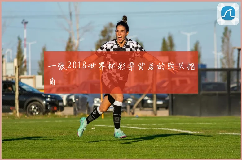 一张2018世界杯彩票背后的购买指南
