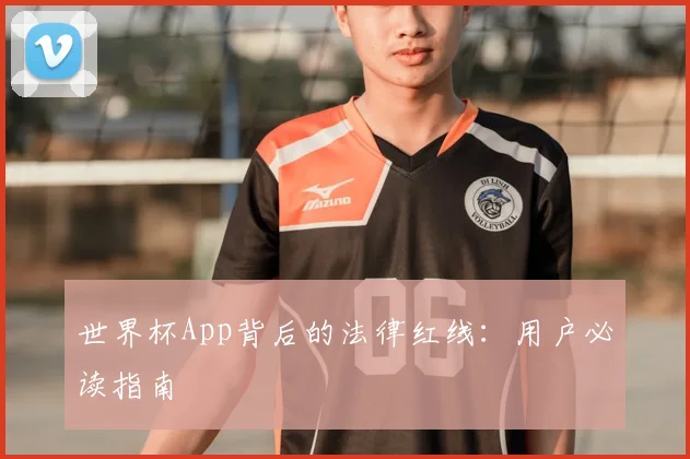 世界杯App背后的法律红线:用户必读指南
