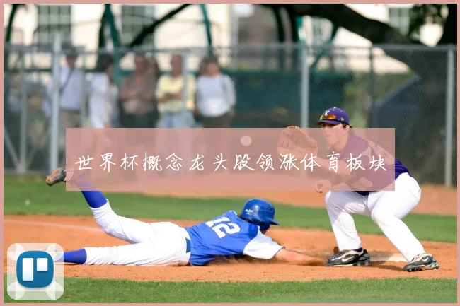 世界杯概念龙头股领涨体育板块